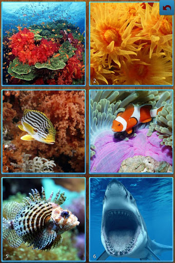 Sea Life Jigsaw Puzzles 1.9.17 screenshots 1