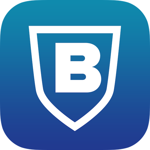 V Bezpečí logo