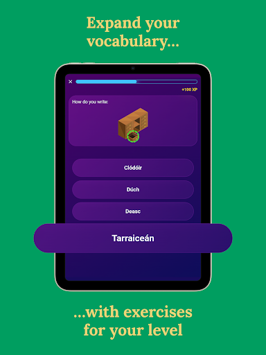 Learn Irish - Beginners screenshot 11