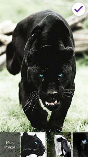 Black Panther Lock Screen