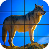Wolf Puzzle Games icon