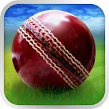 Cricket WorldCup Fever icon