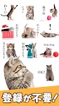 screenshot of Cat Stickers