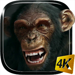Download Talking Monkey Live Wallpaper (2).apk for Android 