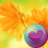 Flowers HD Wallpapers icon