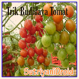 Tricks Tomato Cultivation icon