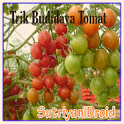Tricks Tomato Cultivation 11.0 Icon