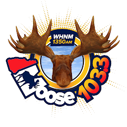 103.3 Moose FM: Download & Review