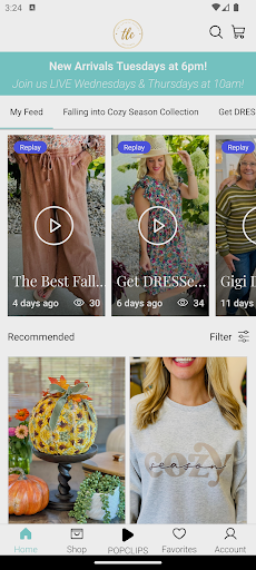 Screenshot of Lovely Closet Boutique