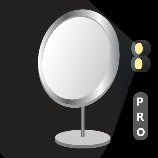 Mirror Double Light Pro Logo