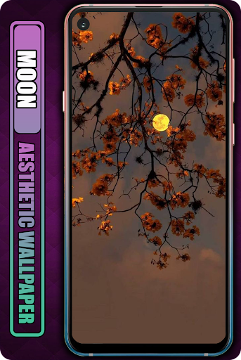 Moon Aesthetic Wallpaper HD 4K Screen 3