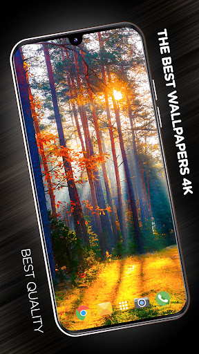 Android application Forests wallpaper in 4K screenshort