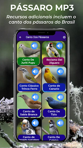 Canto De Papa-Capim viviti Screen 3