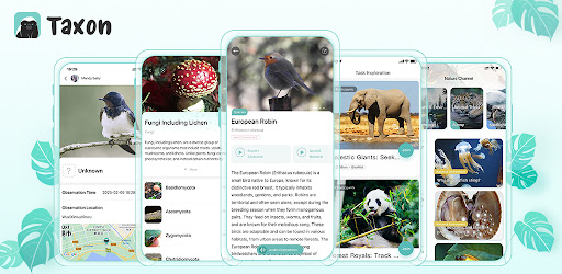 Biowiki Taxon:Species＆IDentify