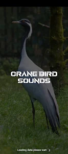 Crane Bird sounds