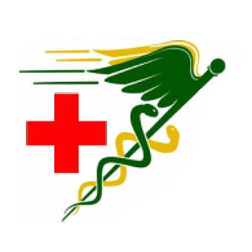 Theos Med logo