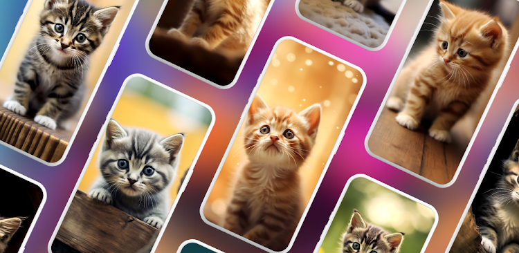 Kitten Wallpapers - 1.0.9 - (Android)
