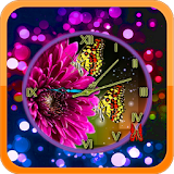 Chrysanthemum Clock icon