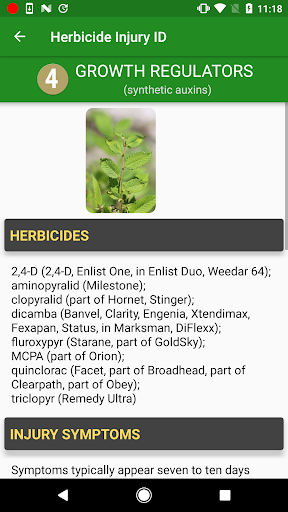 Herbicide Injury ID Screen 3