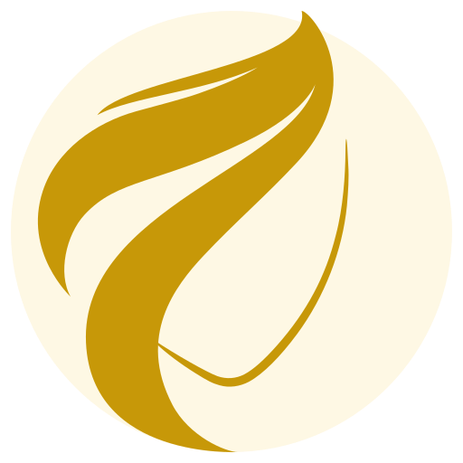 Zayn.tn logo