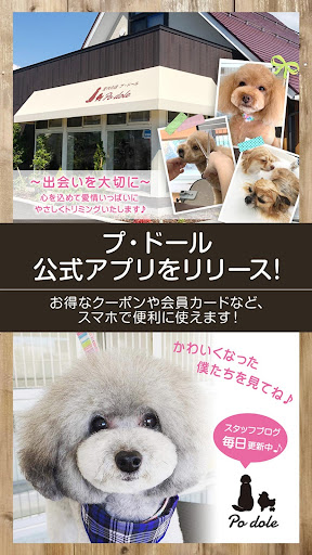 Android application 愛犬の店プ・ドール 公式アプリ screenshort