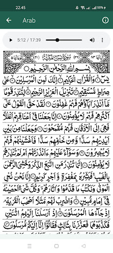 Surat Yasin dan Tahlil Lengkap Screen 2