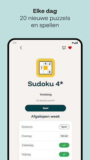 Puzzelfit