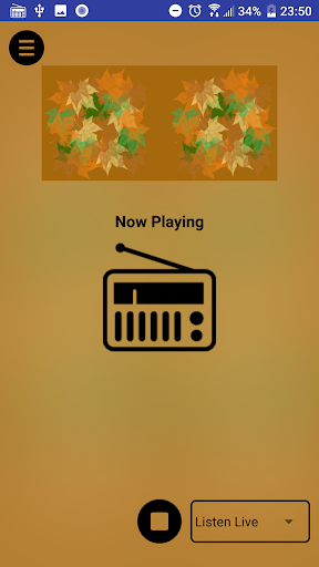 The Treehouse Radio Player Screen 3