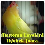 Masteran Lovebird Ngekek Juara icon