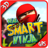 Real Smart Ninja icon