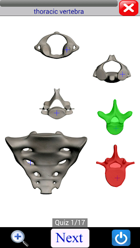 Visual Bones screenshot 6