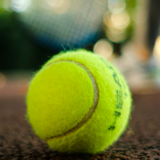 Toonie Tennis logo