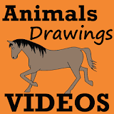 How To Draw Animals VIDEOs icon