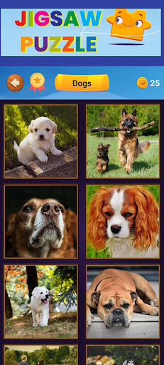 Jigsaw Puzzle : Puzzle game Screen 3