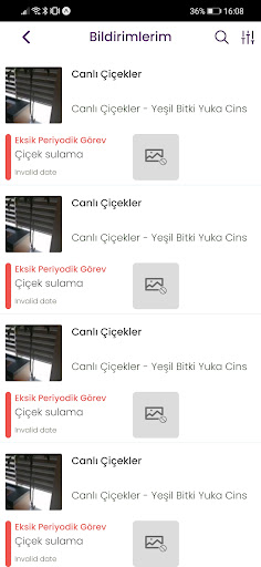 Things and Feedbacks