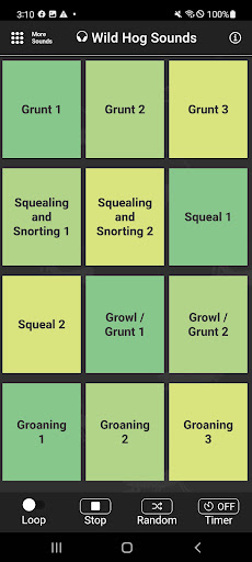 Wild Hog Sounds Screen 2