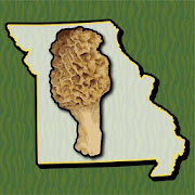 Missouri Mushroom Forager Map Morels Chanterelles