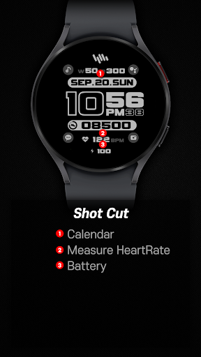 SamWatch SIGN Beta 2