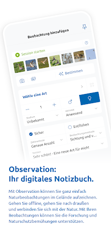 App-Vorschau