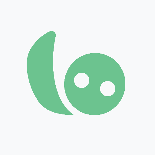 borro logo