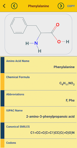 RNA Codon Table (Genetic Code Screen 2