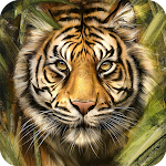 Cover Image of Download Royal Bengol Tiger Wallpaper  APK
