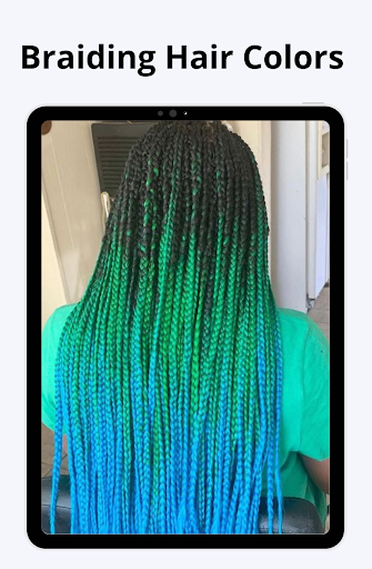 Braiding Hair Colors