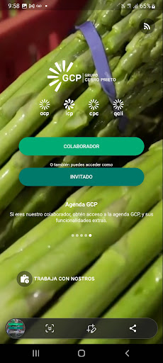 GCP Movil Screen 2