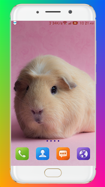 Screenshot 14 Guinea Pig Wallpaper android