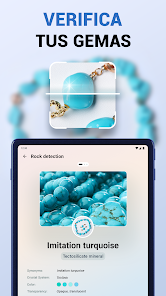 Imagen de la captura de pantalla