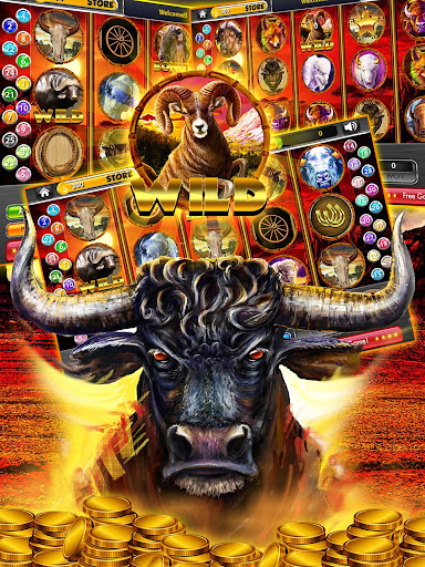 Red-dog Local casino Spin No play golden goddess slots free online -deposit Incentive fifty Free