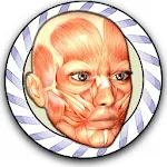 Cover Image of Baixar Teste de Anatomia de Velocidade Gratuito  APK