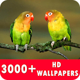 Bird Live Wallpapers HD icon