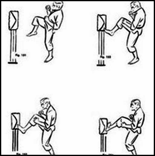 Kung Fu postures. ?Train Kung Fu steps